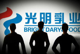 宋清輝 光明乳業(yè)企業(yè)管理與治理結構漏洞凸顯，亟待深化改革
