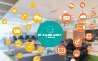 從鉛字到云端 印刷企業(yè)的數(shù)字化管理轉(zhuǎn)型之路